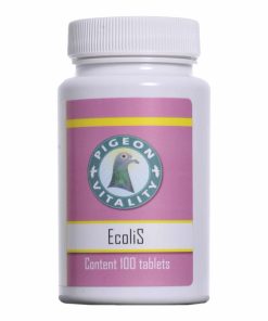 EcoliS