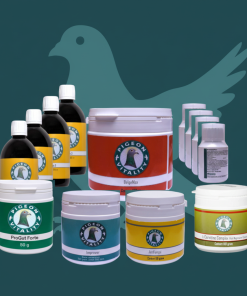 1st International Barcelona Package