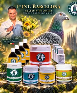 1st International Barcelona Package – Pigeon Vitality products used by Golden Wing winner Anthony Pellitteri